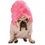 Watch Out, Little Pooch – It’s National Dress Up Your Pet Day!