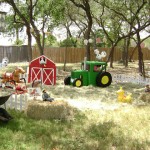 Down Home Barnyard Fun in Your Own Backyard