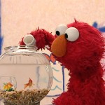 Elmo and Dorothy Birthday Tips