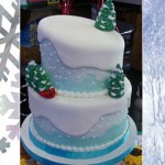 Winter Wonderland Theme Party
