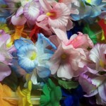 Aloha! Sail Over to Our Luau!
