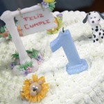 Tips For a 1st Birthday Party