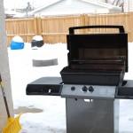 Time for a January Backyard BBQ!