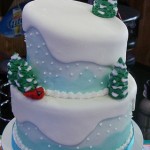 Winter Wonderland Party Cake Ideas
