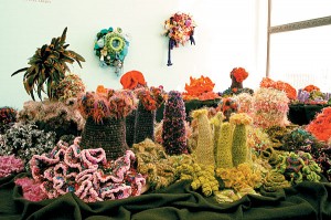 coral garden using succulents