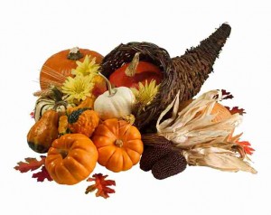 Thanksgiving autumn party cornucopia