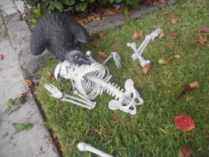 How to Build a Halloween Graveyard - Theme A Party