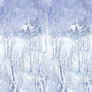 Winter Wonderland Themed Decorations & Supplies, Snow & Ice